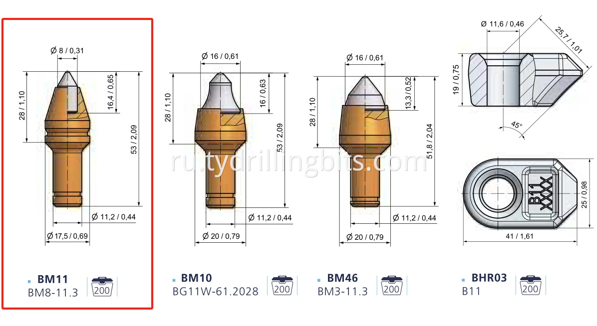 BM11 teeth 